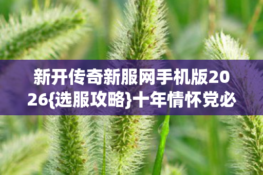新开传奇新服网手机版2026图片
