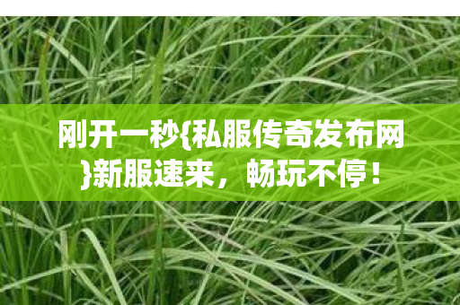 私服传奇发布网图片