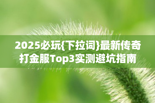 最新传奇打金服Top3实测避坑指南图片