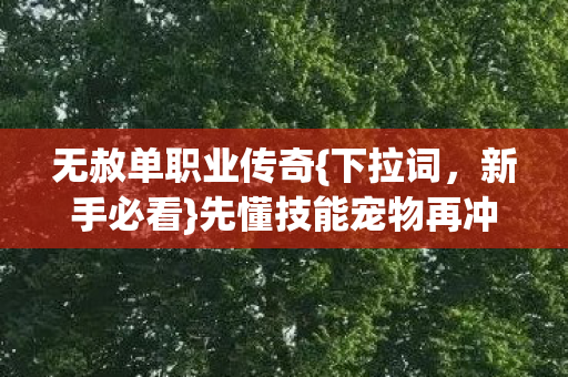 先懂技能宠物再冲榜图片