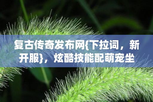 炫酷技能配萌宠坐骑玩法揭秘图片