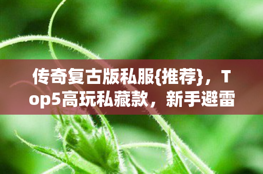 Top5高玩私藏款图片