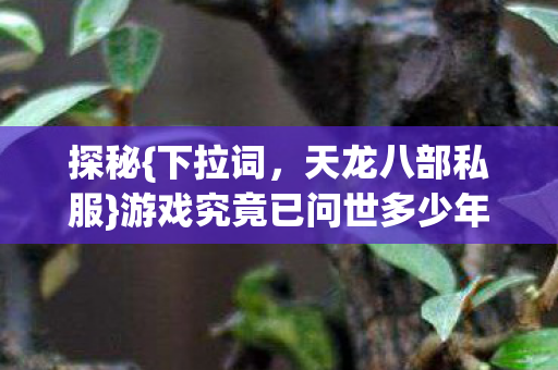 探秘{下拉词，天龙八部私服}游戏究竟已问世多少年啦