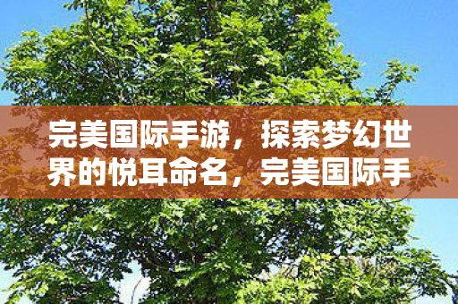 完美国际手游,探索梦幻世界的悦耳命名,完美国际手游,梦幻世界的悦耳命名探索 完美国际手游,探索梦幻世界的悦耳命名,完美国际手游,梦幻世界的悦耳命名探索