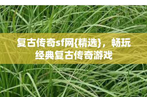 畅玩经典复古传奇游戏图片