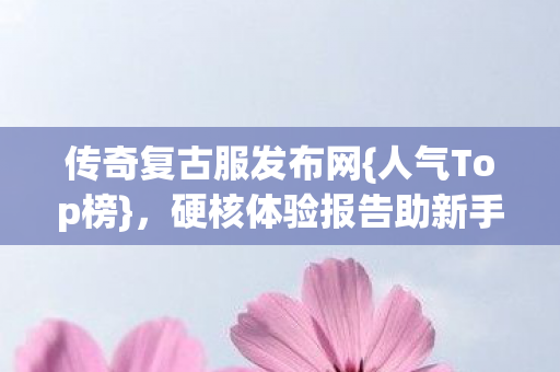 硬核体验报告助新手避坑图片