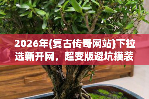 超变版避坑摸装指南图片
