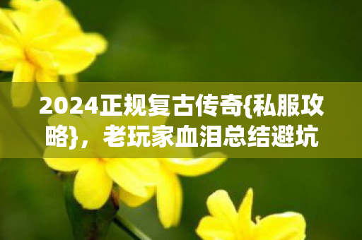 老玩家血泪总结避坑必看图片