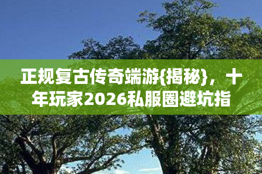 十年玩家2026私服圈避坑指南图片
