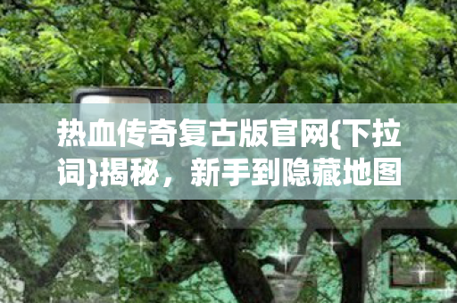 热血传奇复古版官网图片