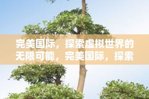 完美国际,探索虚拟世界的无限可能,完美国际,探索虚拟世界的无限可能 完美国际,探索虚拟世界的无限可能,完美国际,探索虚拟世界的无限可能