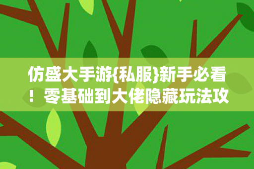 零基础到大佬隐藏玩法攻略图片