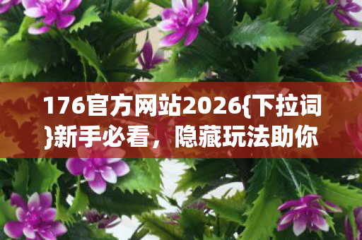 176官方网站2026图片