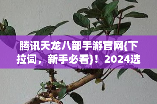 2024选阵营隐藏规则揭秘图片