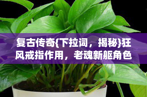 老魂新躯角色新体验图片