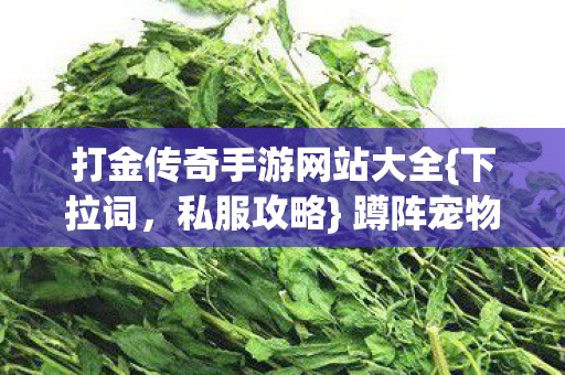 打金传奇手游网站大全图片