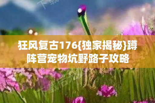蹲阵营宠物坑野路子攻略图片