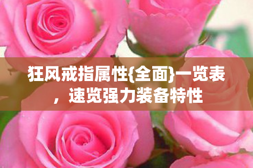 速览强力装备特性图片
