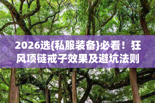 狂风项链戒子效果及避坑法则图片