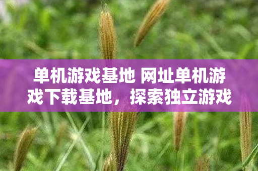单机游戏基地 网址单机游戏下载基地，探索独立游戏的无限可能，探索独立游戏的无限可能，单机游戏基地下载