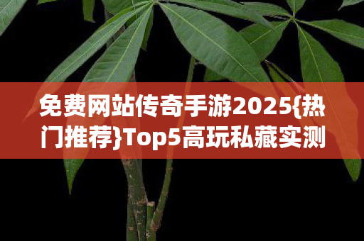 免费网站传奇手游2025图片