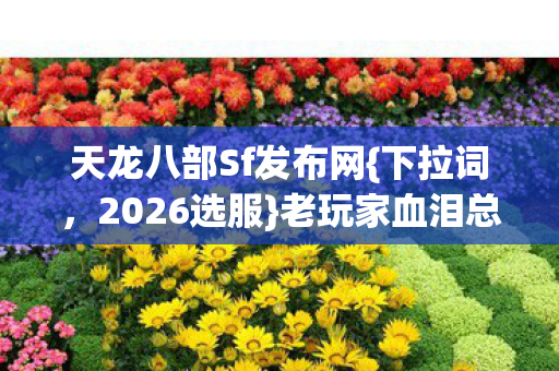 老玩家血泪总结避坑指南图片