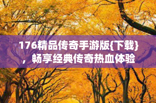 176精品传奇手游版图片