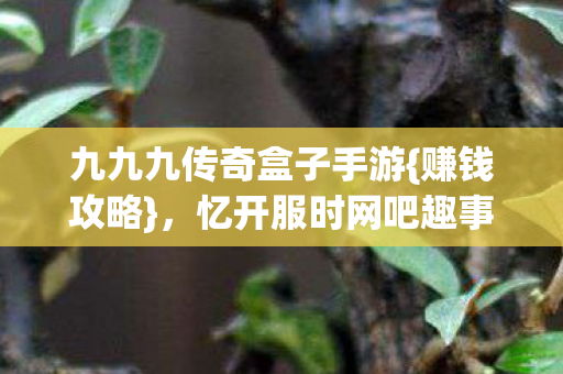 九九九传奇盒子手游图片