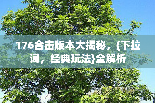 176合击版本大揭秘图片