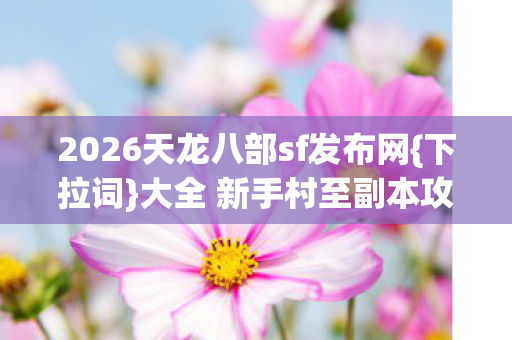 2026天龙八部sf发布网图片