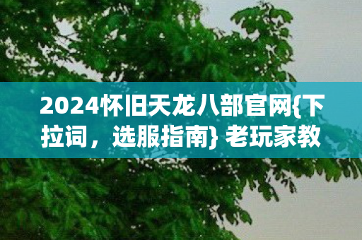 2024怀旧天龙八部官网图片