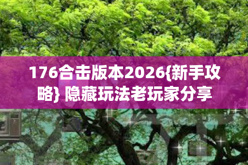 176合击版本2026图片