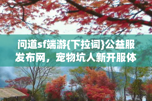 宠物坑人新开服体验图片