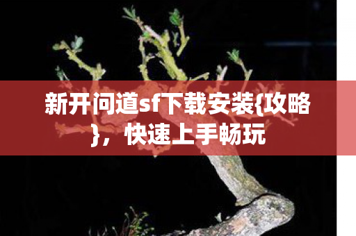 新开问道sf下载安装{攻略},快速上手畅玩 新开问道sf下载安装{攻略},快速上手畅玩