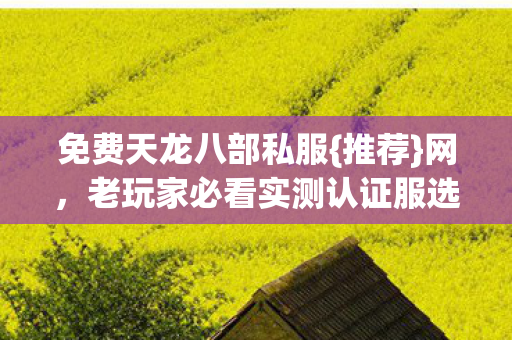 老玩家必看实测认证服选法图片