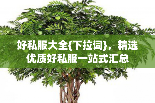 精选优质好私服一站式汇总图片
