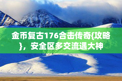 金币复古176合击传奇图片