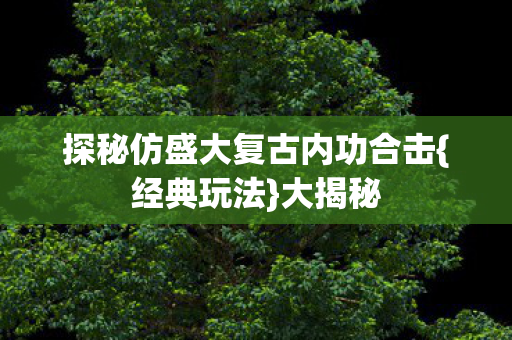 探秘仿盛大复古内功合击图片