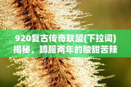 920复古传奇联盟图片