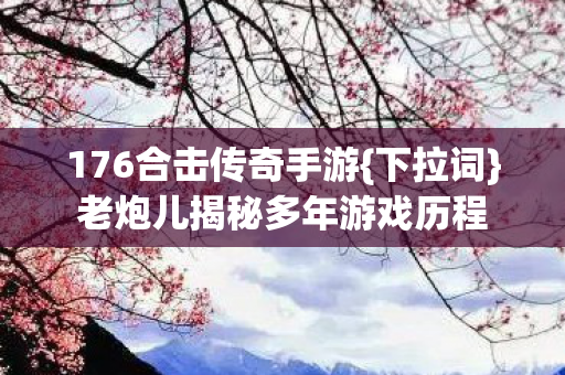 老炮儿揭秘多年游戏历程图片