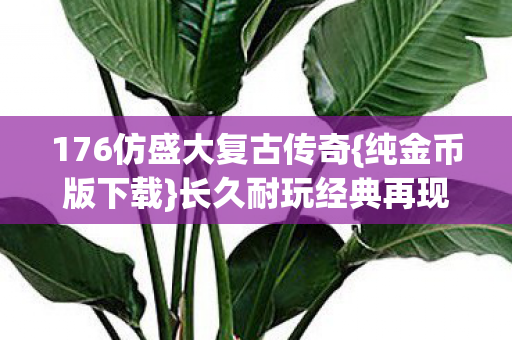176仿盛大复古传奇图片