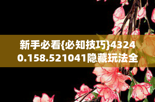 521041隐藏玩法全攻略图片