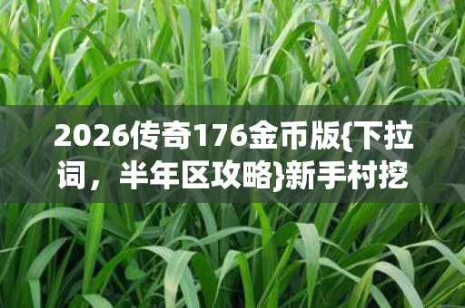 2026传奇176金币版图片