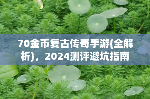 70金币复古传奇手游图片