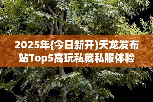 2025年{今日新开}天龙发布站Top5高玩私藏私服体验
