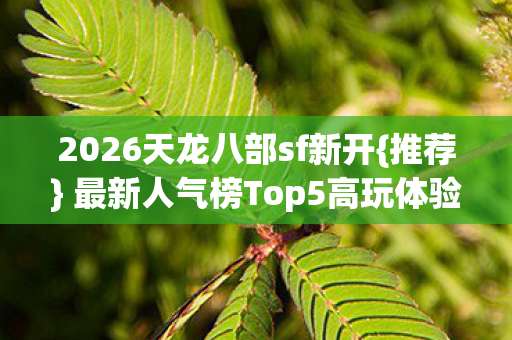 最新人气榜Top5高玩体验图片