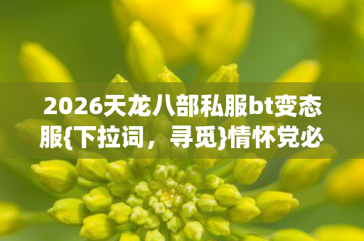 2026天龙八部私服bt变态服图片