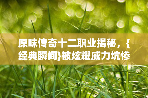 原味传奇十二职业揭秘图片