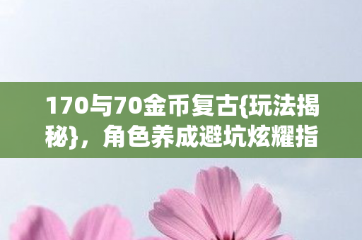 170与70金币复古图片