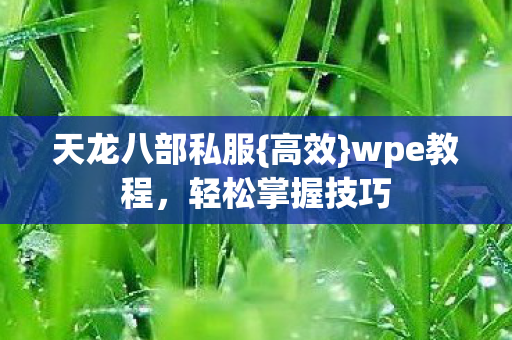 天龙八部私服{高效}wpe教程，轻松掌握技巧